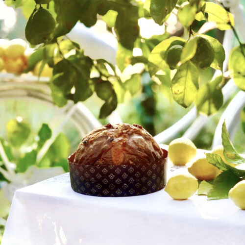 Panettone artigianale - Don Alfonso 1890